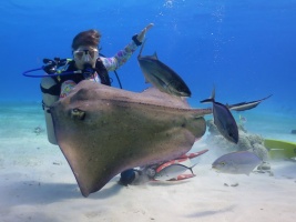 048 Me at Stingray City IMG 5983